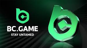 The Ultimate Guide to BC Game Casino