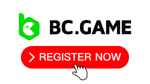 Comprehensive Support Navigating BC Game Help Resources