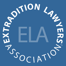 Fireworks and Equine Safety Laws Protecting Horses During Celebrations 379499688 Fireworks and Equine Safety Laws Protecting Horses During Celebrations 379499688